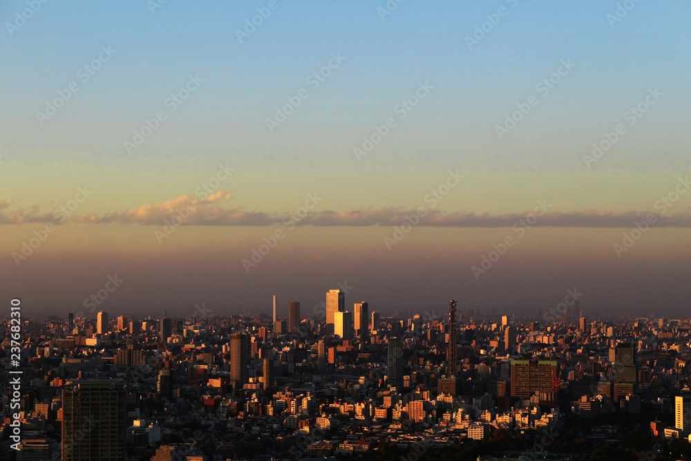 Fototapeta premium Panoramic view of Tokyo at dusk