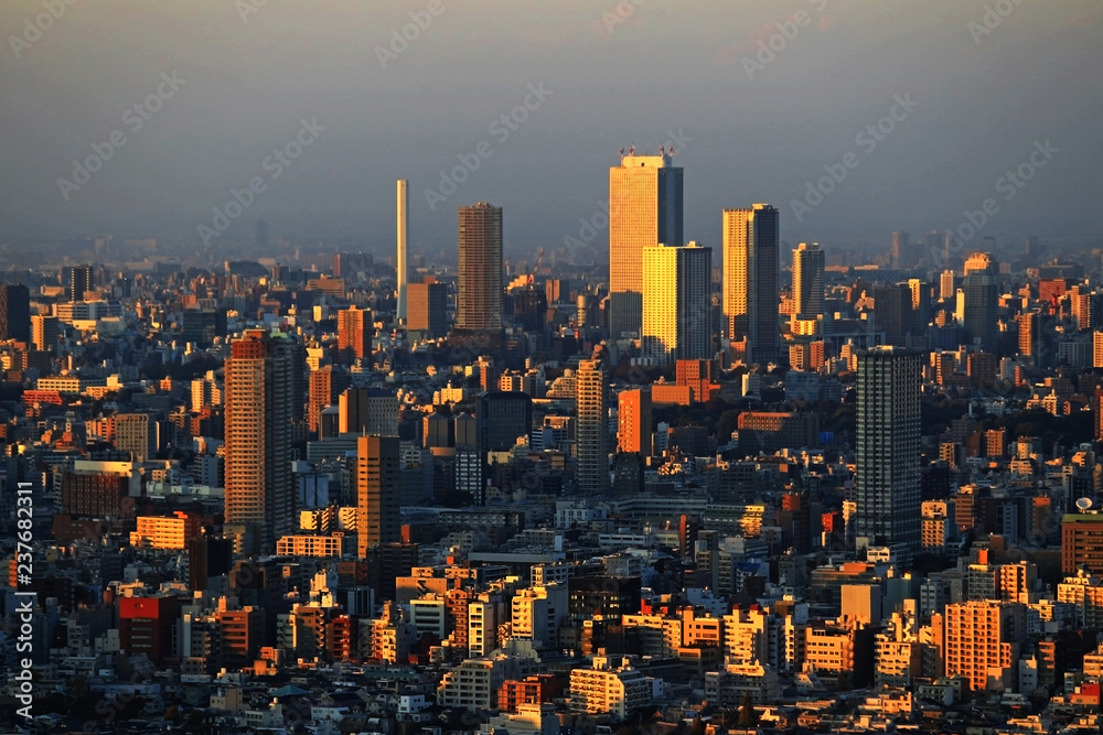 Obraz premium Panoramic view of Tokyo at dusk