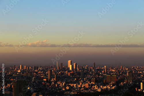 Panoramic view of Tokyo at dusk