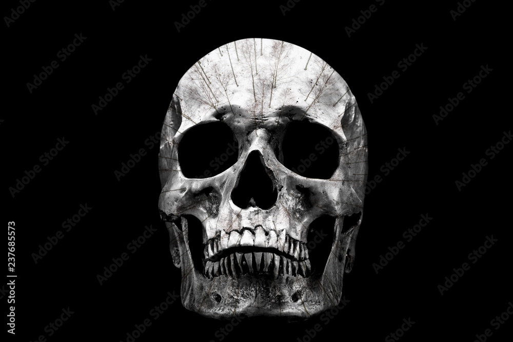 The skull which trees and snow inside on a black background
