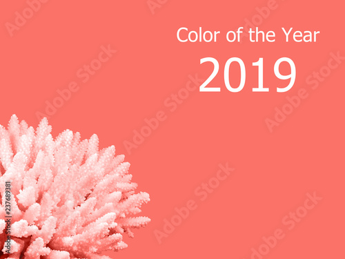 Living Coral color of the Year 2019. Trendy color.