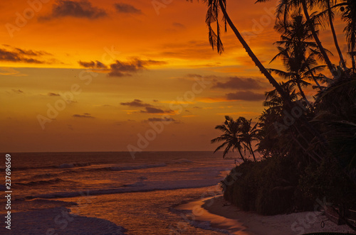beautiful sunset with bright color over the Indian Ocean in Sri Lanka 