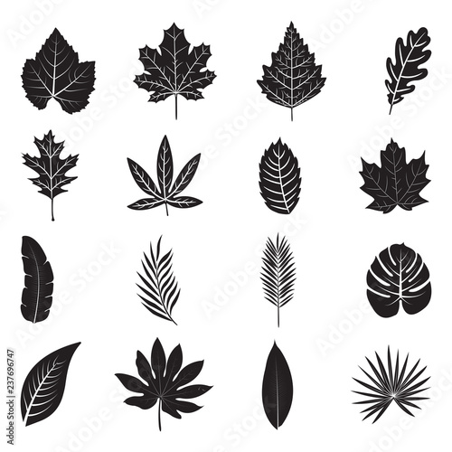 Leaves Icons. Black Flat Design. Vector Illustration. 