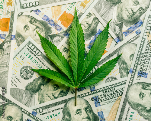 Increase revenue and profits in the field of growing medical cannabis. Leaf of marijuana in cash hundred dollar bills.