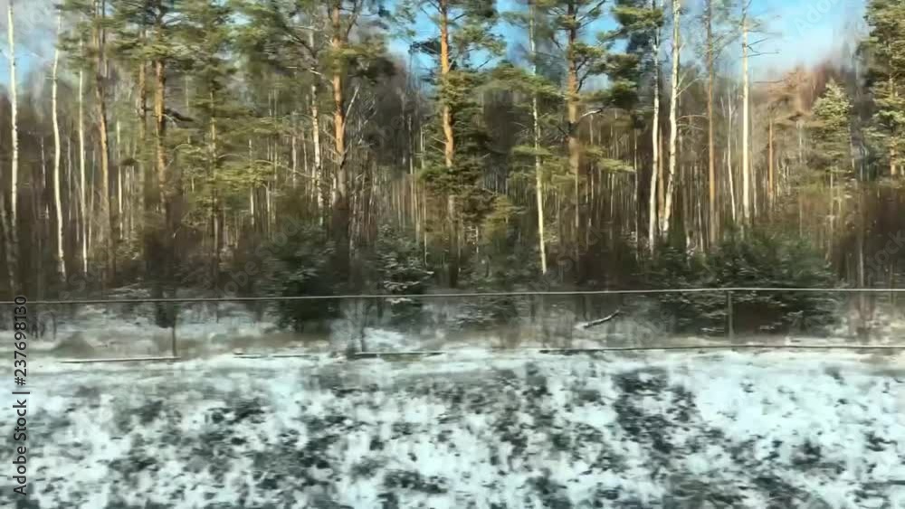 Forest View From Train Window Forest View From Train Window