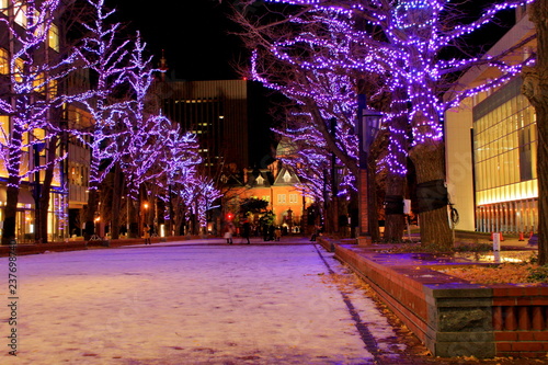 北海道、札幌市 、北3条広場akapuraのホワイトイルミネーションの風景、