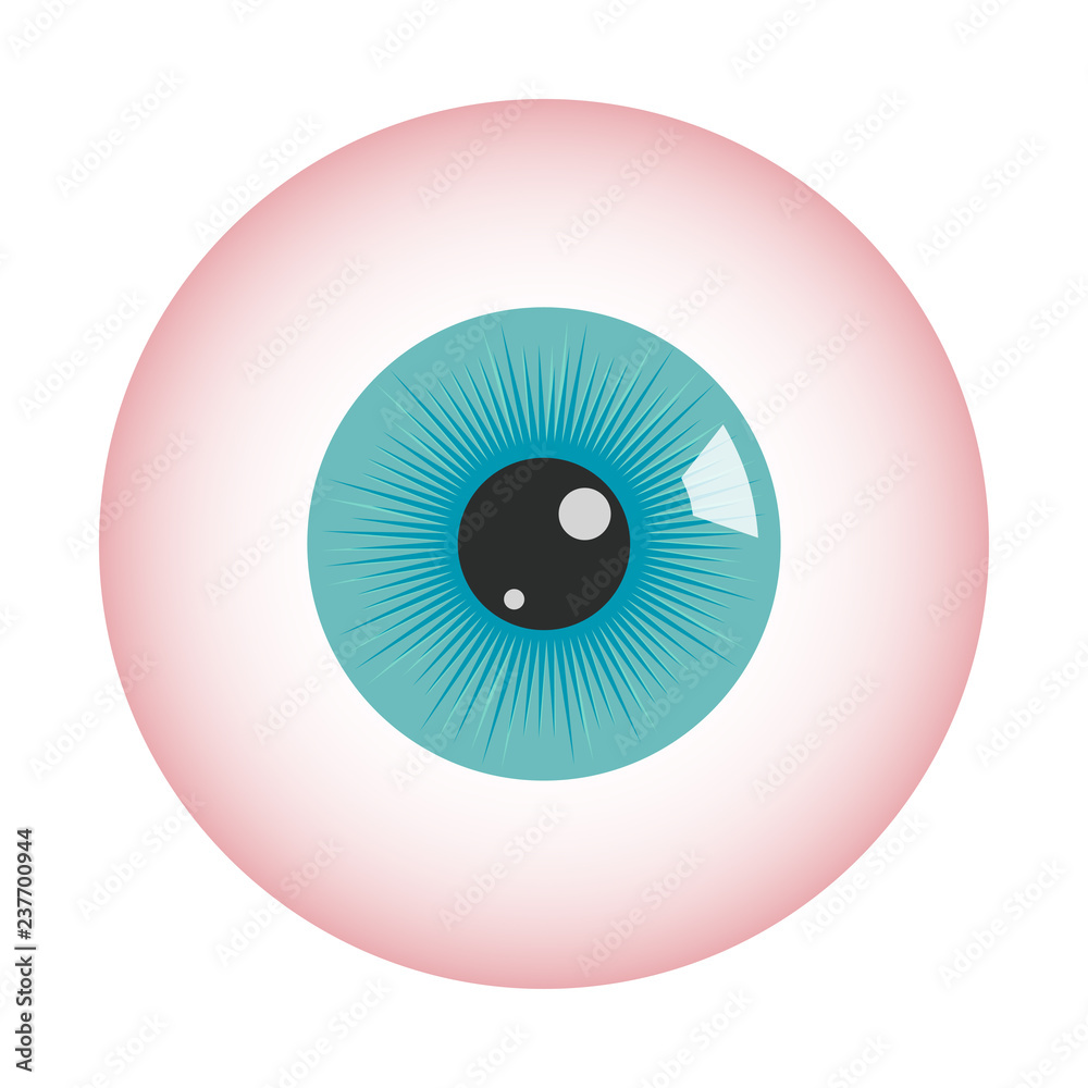 Human eyeball icon. Human eye structure. Vector illustration. Human eyeball icon. Human eye structure. Vector illustration.