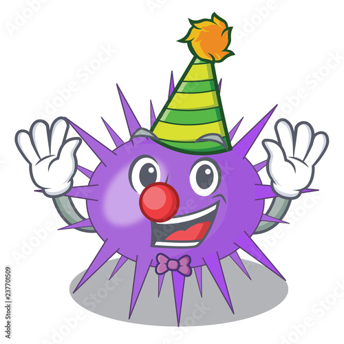 Clown sea urchin isolated on a character photo