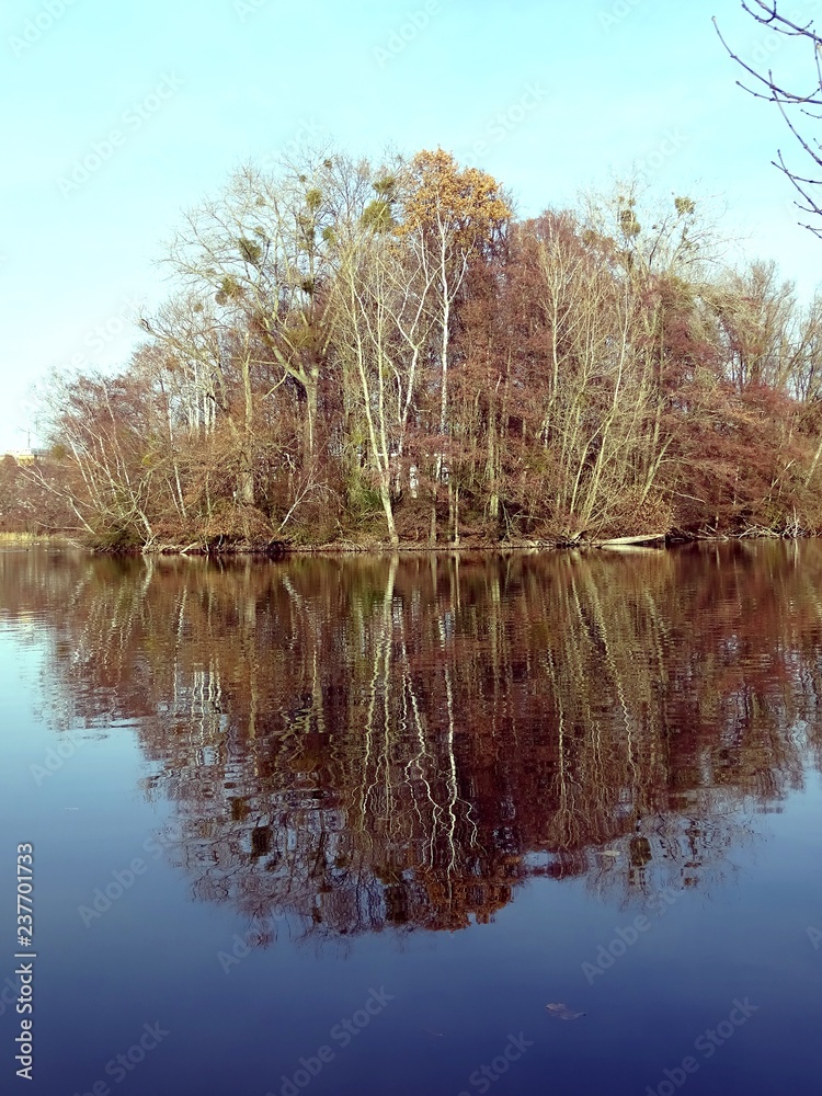 reflection of autumn trees in the water