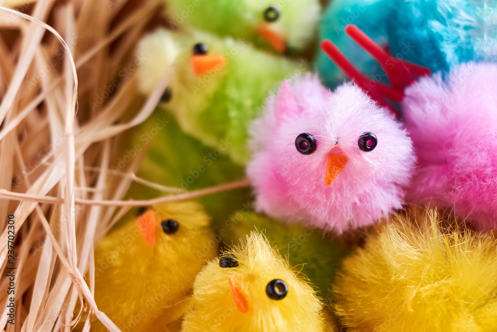Fluffy pink, yellow, green and blue, small fake easter chicks and natural raffia nest material. One chicken is looking at the camera.	