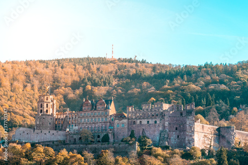 Obraz na płótnie Castle of Heidelberg w salonie