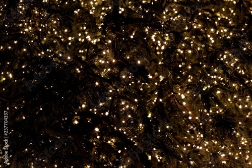 Lights of a Christmas tree