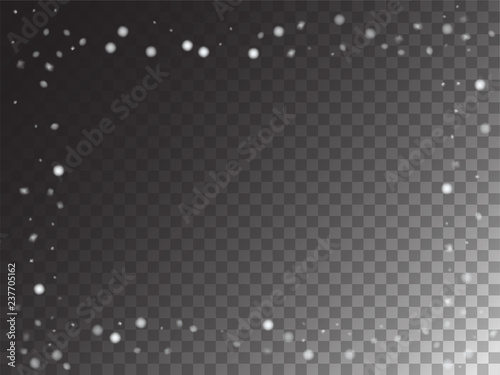 Winter Snowfall Ice Texture Vector Transparent Background. Realistic Snow Confetti Falling Down, Isolated Snowflake Scatter. Random Moving Realistic Snow Confetti, Christmas New Year Frost Decoration.