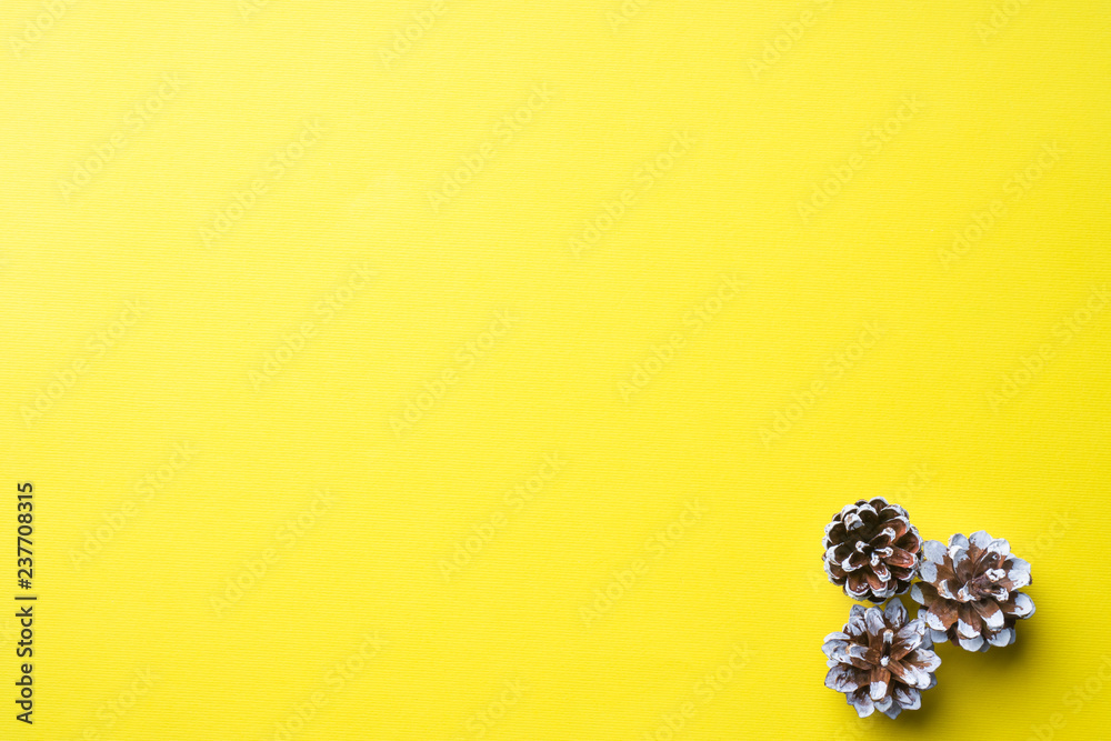 Christmas new year concept. Pine cone on yellow background. Copy space, Minimalism. Christmas new year concept. Pine cone on yellow background. Copy space, Minimalism.