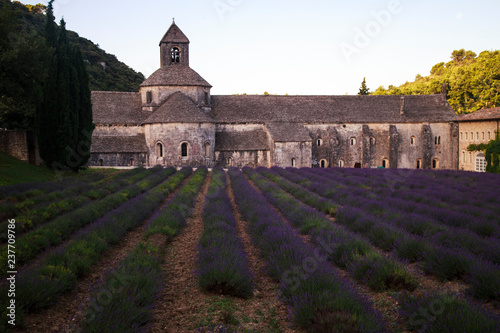 Abbey of Senaque in Provence