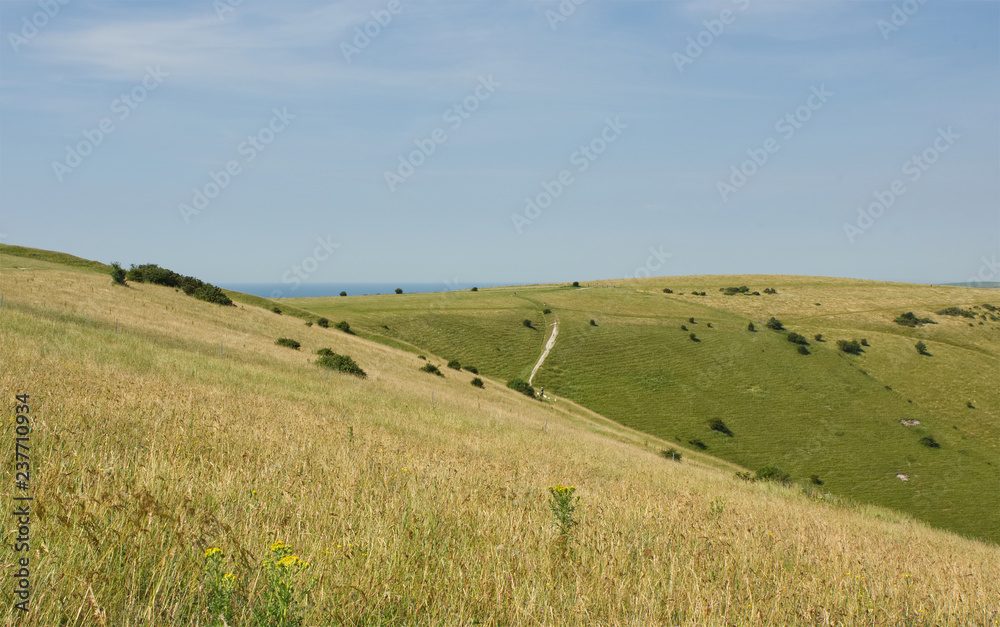 South Downs, Brighton, Sussex, England