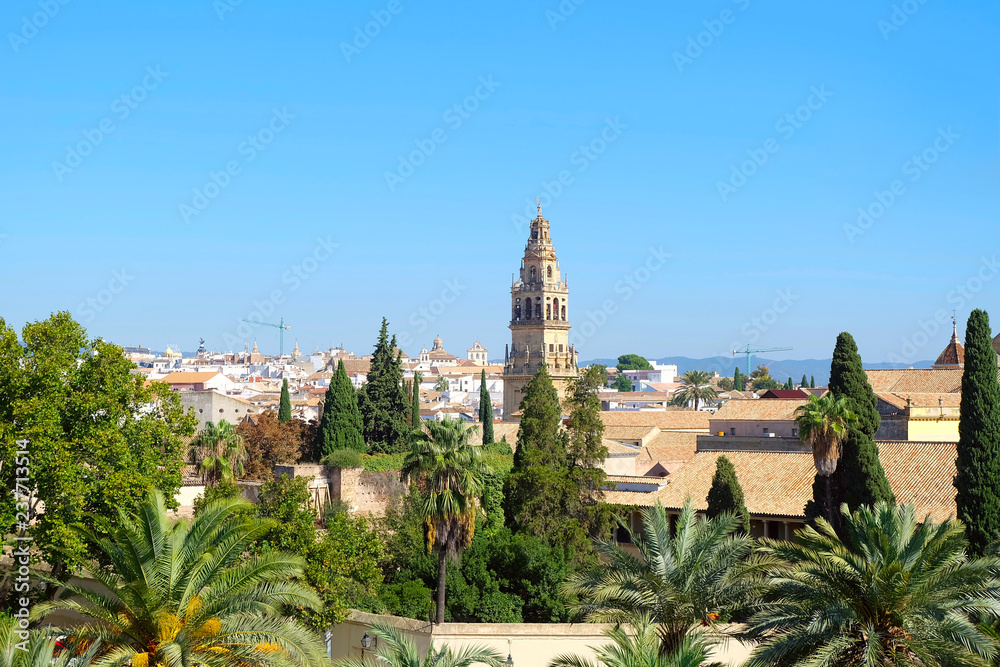 Naklejka premium Great Mosque Mezquita in Cordoba, Spain