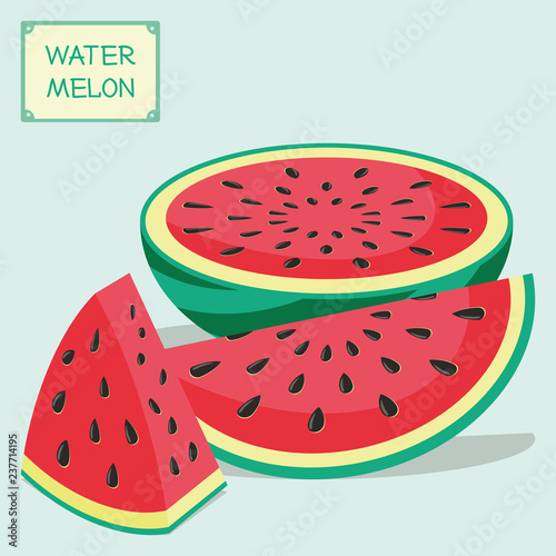 Different pieces of a watermelon. The fruit cut into pieces in form of a triangle, a wedge and a half of a watermelon. Vector illustration.