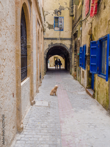 From the alleys of Essaouira Medina © KajzrPhotography.com