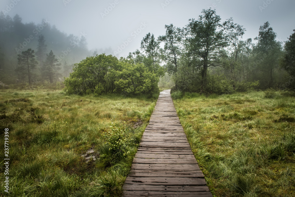 Swamp wooden path walkway to Trolltunga Norway