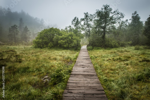 Swamp wooden path walkway to Trolltunga Norway