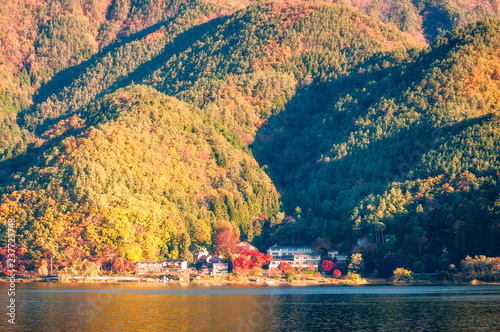 Autumn colors at Fujikawaguchiko - a resort town in the northern foothills of Mount Fuji, Japan