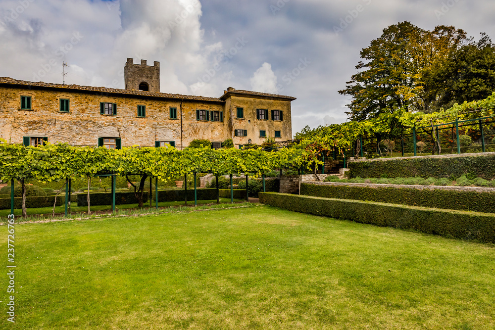 estate on vineyard in Italy estate on vineyard in Italy