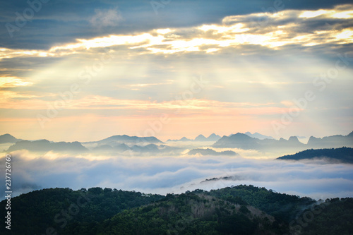 Morning scene sunrise landscape with fog sunrise over misty on hill forest