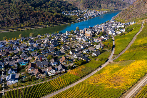 Germany, Rhineland-Palatinate, Mayen-Koblenz, Moselle, town Alken and vineyards photo