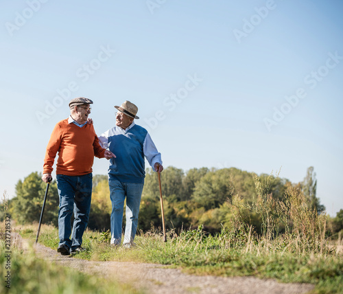 Two old friends taking a stroll through the fields, talking about old times photo