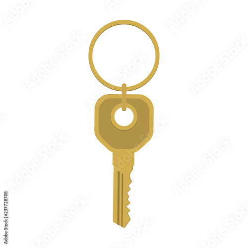 Key icon. The key to the lock, the key to the house, door, or car. Vector Illustration.