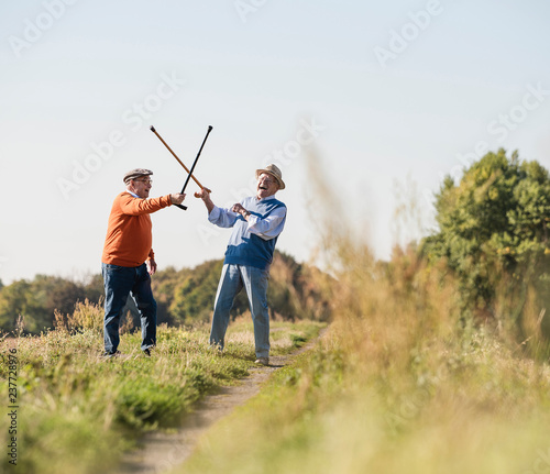 Two old friends fencing in the fields with their walking sticks