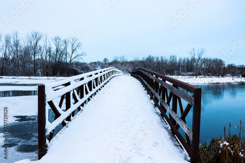 bridge in winter forest © Brian