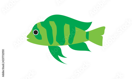 Fish vector