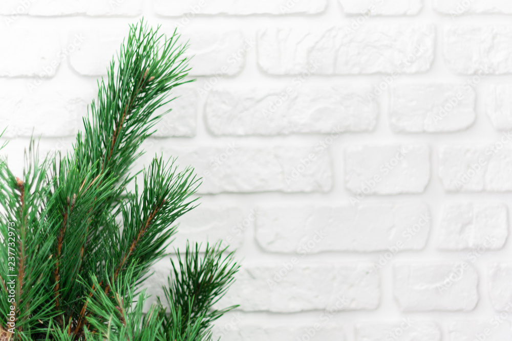 Christmas and New Year composition on white wooden background with copy space for your text Christmas and New Year composition on white wooden background with copy space for your text