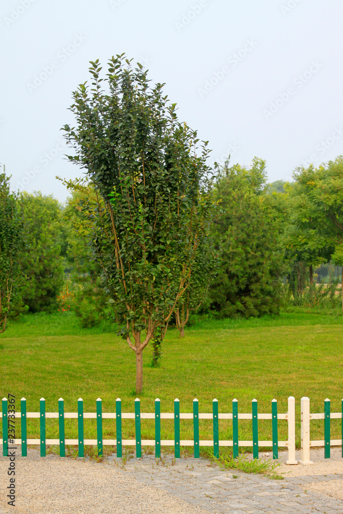 fence in the park fence in the park
