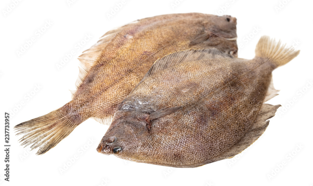 Obraz premium fresh raw fish flounder