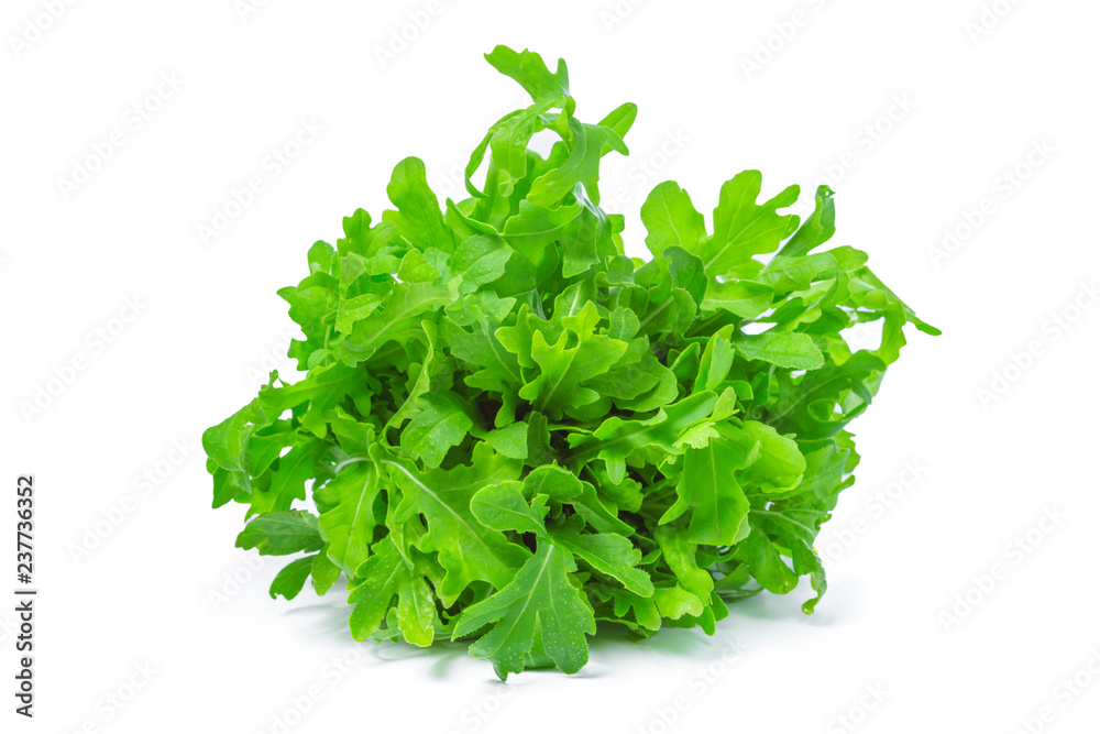 rucola or arugula, heap, salad leaves, isolated on white background rucola or arugula, heap, salad leaves, isolated on white background