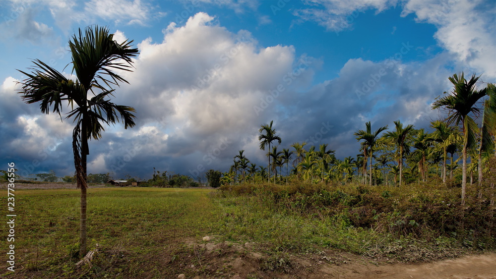 The Eastern India. The State Of Assam. Winter in the villages of the foothills of the Himalayas The Eastern India. The State Of Assam. Winter in the villages of the foothills of the Himalayas