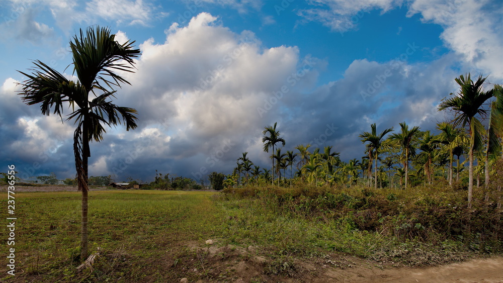 The Eastern India. The State Of Assam. Winter in the villages of the foothills of the Himalayas