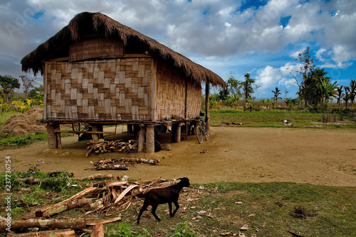 The Eastern India. The State Of Assam. Winter in the villages of the foothills of the Himalayas