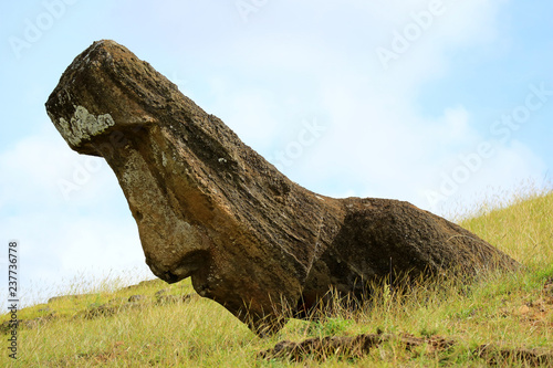 Foto One of numerous unfinished huge Moai statues on the slope of Rano Raraku volcano