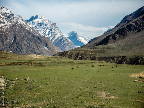 Himalayan Mountain behind Green Fields
