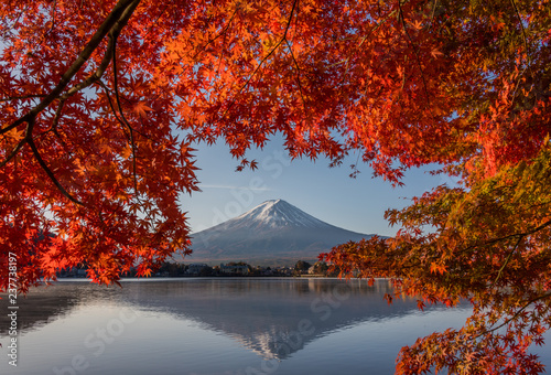 Mount Fuji, Autumn in Mt. Fuji, Japan - Lake Kawaguchiko , Colorful Autumn Season and Mountain Fuji with morning sunrise and red leaves at lake Kawaguchiko, Japan.