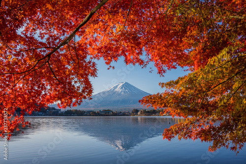 Mount Fuji, Autumn in Mt. Fuji, Japan - Lake Kawaguchiko , Colorful Autumn Season and Mountain Fuji with morning sunrise and red leaves at lake Kawaguchiko, Japan.