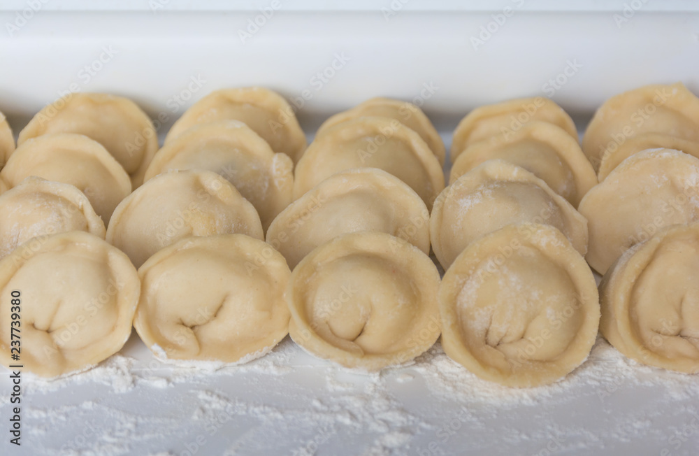 Homemade raw dumplings lie in rows on white board, traditional Russian and Chinese dumplings. Side view