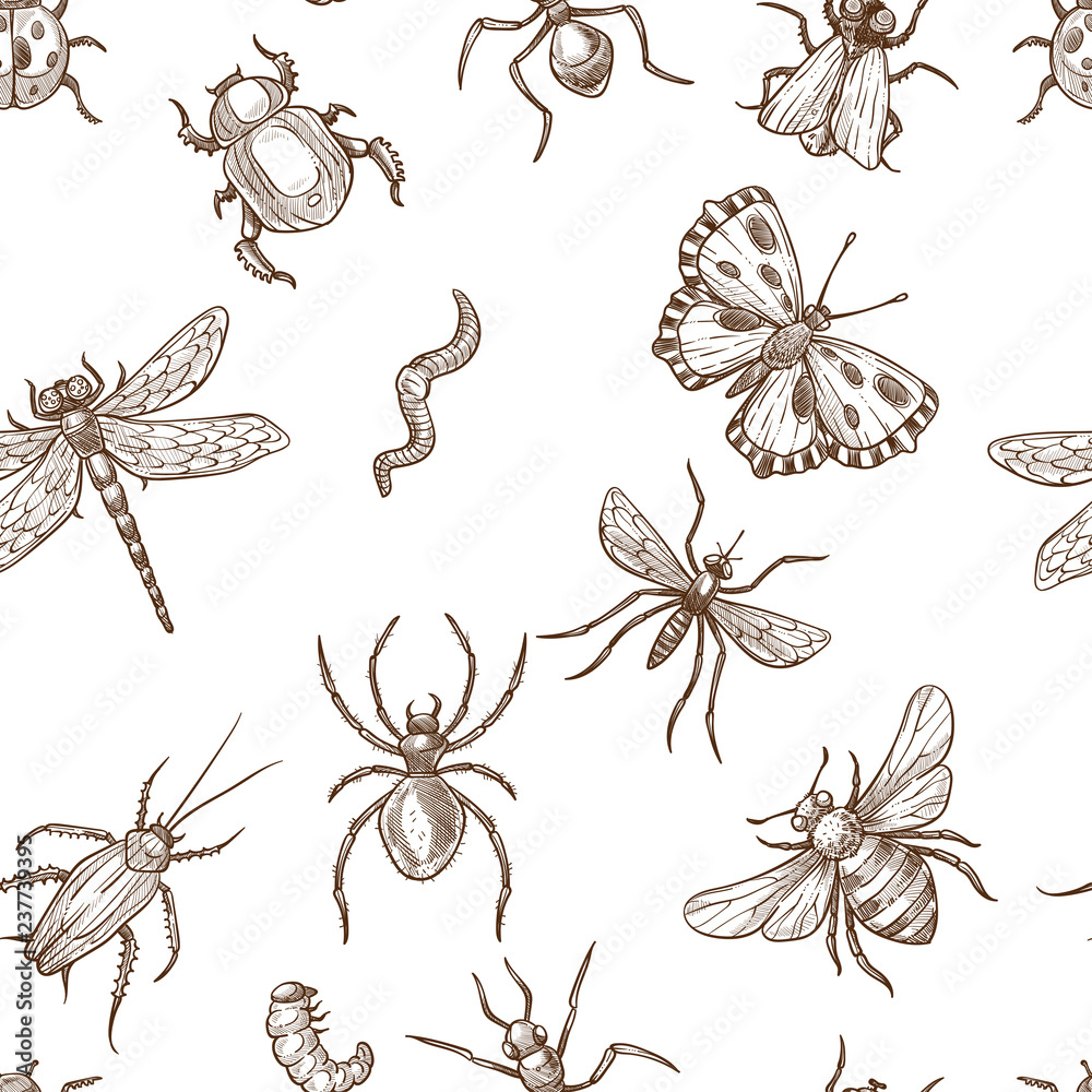 Insects that fly and creep monochrome sepia sketches seamless pattern.
