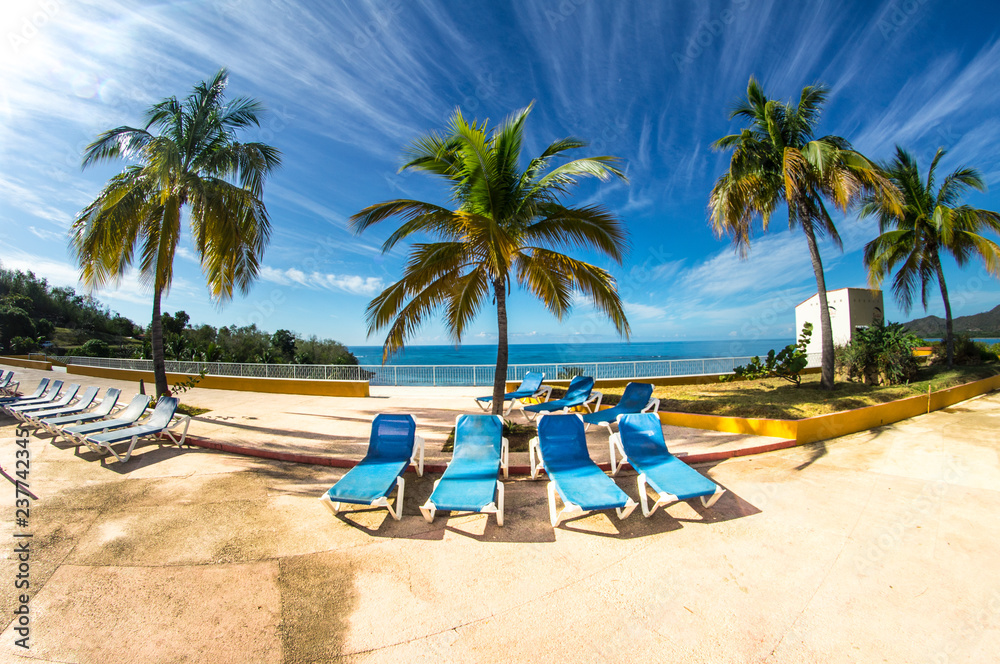Fototapeta premium deck chairs and palm trees