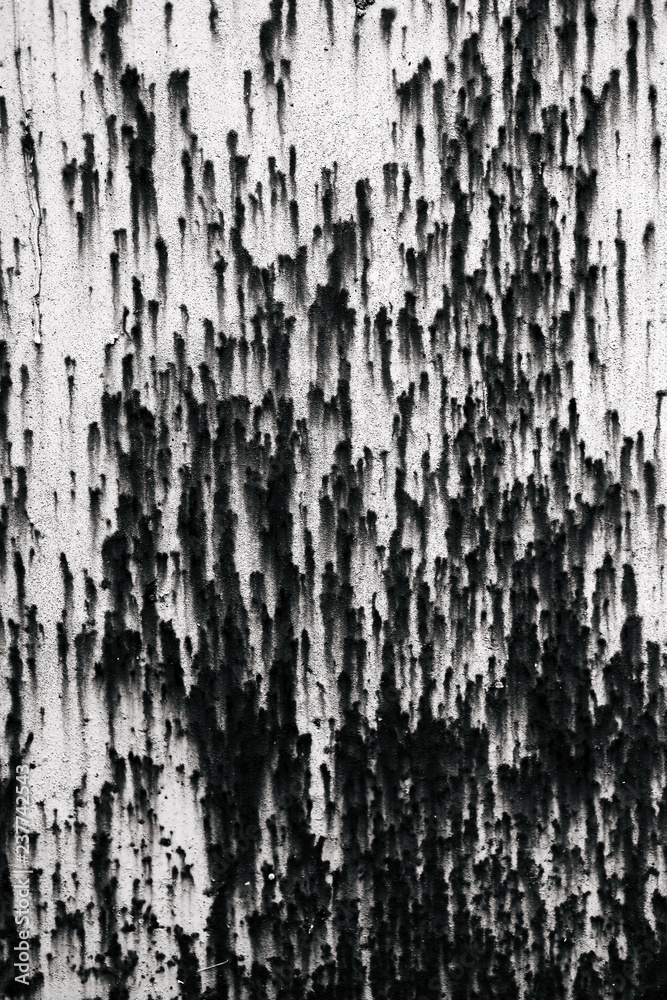 black and white texture of old boards. grunge black and white texture of old boards. grunge