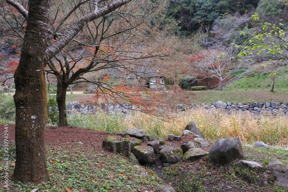 autumn in the park autumn in the park